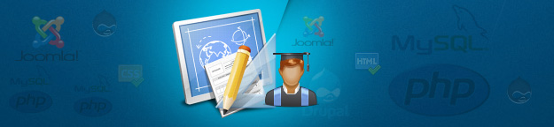 Web Developer